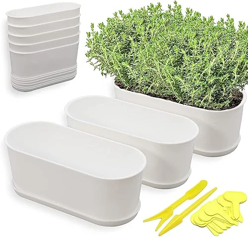 5 Set Window Herb Planter Box Rectangular,8.5×3.5 Inch White Plastic Planters with Multiple Drainage Holes and Trays,Indoor Succulent Cactus Mint Flower Pot for Windowsill,Garden Balcony