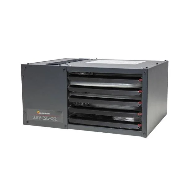 Big Maxx 50K BTU Heater NG/LP with Thermostat