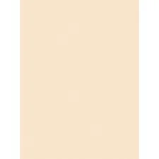 Medium Weight Tagboard, 12 X 9, Manila, 100/pack