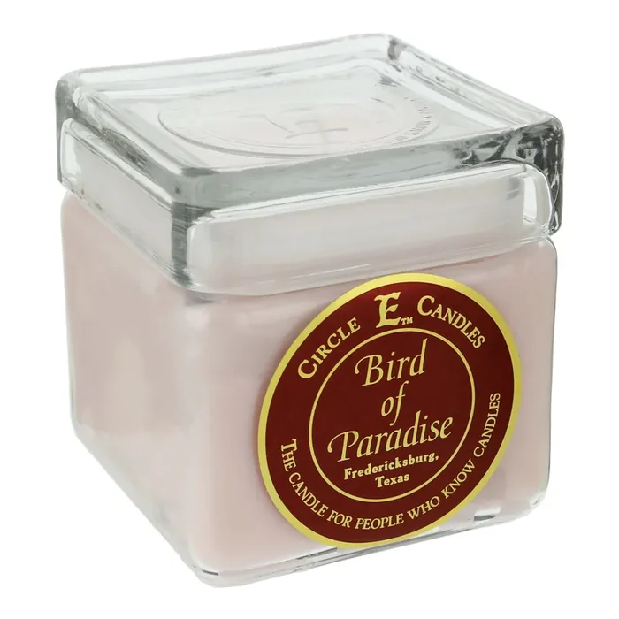 Mia‘s Mirror Circle E Candles-Bird of Paradise