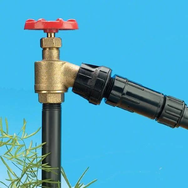 Raindrip R622CT Hose/Pipe Fitting, 3/4 in Connection, Female x Male Pipe, ABS
