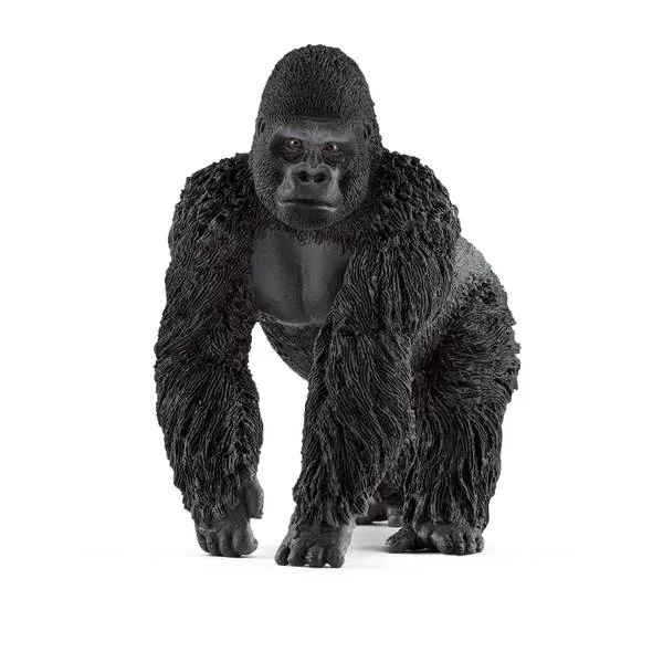 Wild Life Gorilla Male